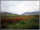 foto Parco nazionale di Connemara